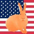 MANDARINE-FLAG VERT FLAG rabbit flag Showroom - Inkjet on plexi, limited editions, numbered and signed. Wildlife painting Art and decoration. Click to select an image, organise your own set, order from the painter on line
